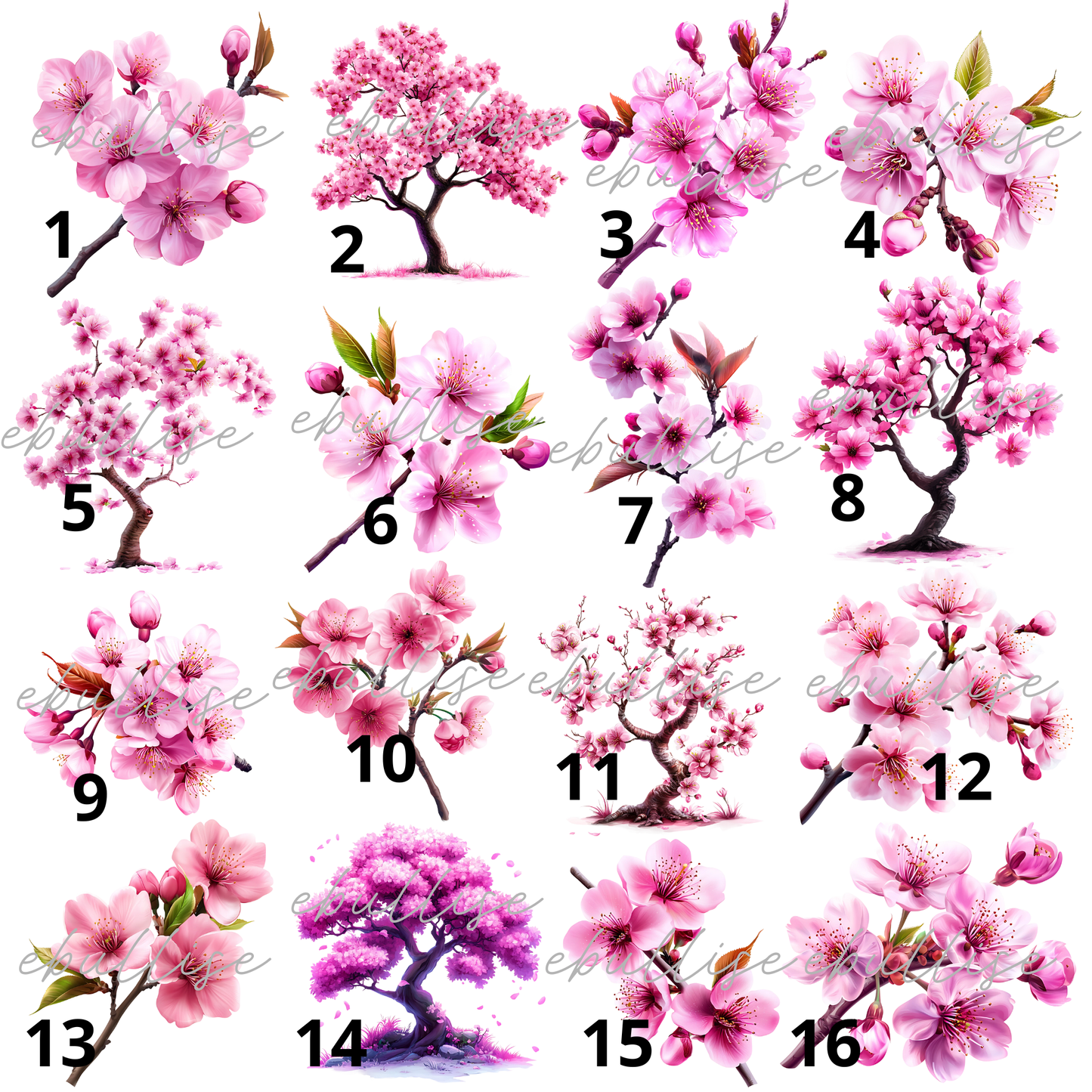 les fleurs de sakura