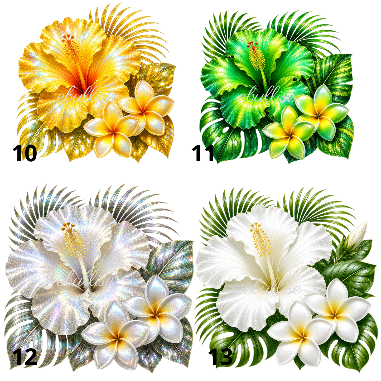hibiscus et frangipanier irisés